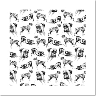 boxer pattern Posters and Art